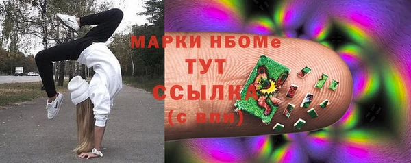 стафф Вязьма