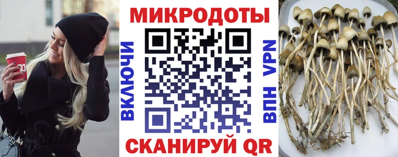 Галлюциногенные грибы мицелий  как найти закладки  Юрюзань 